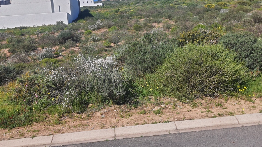  Bedroom Property for Sale in St Helena Views Western Cape